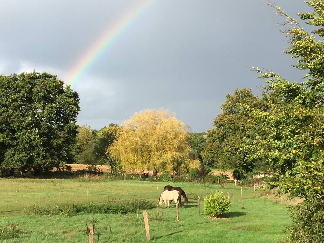 Hippisch vastgoed Koop Côte d'Armor