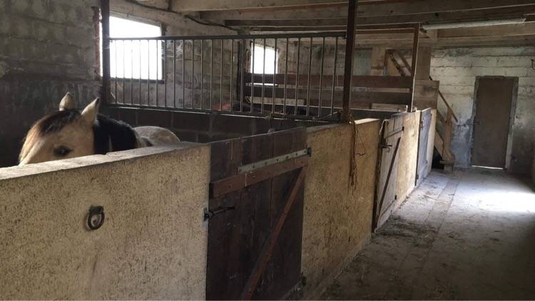 Hippisch vastgoed Koop Côte d'Armor