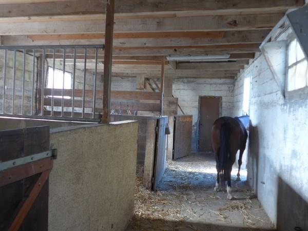Hippisch vastgoed Koop Côte d'Armor