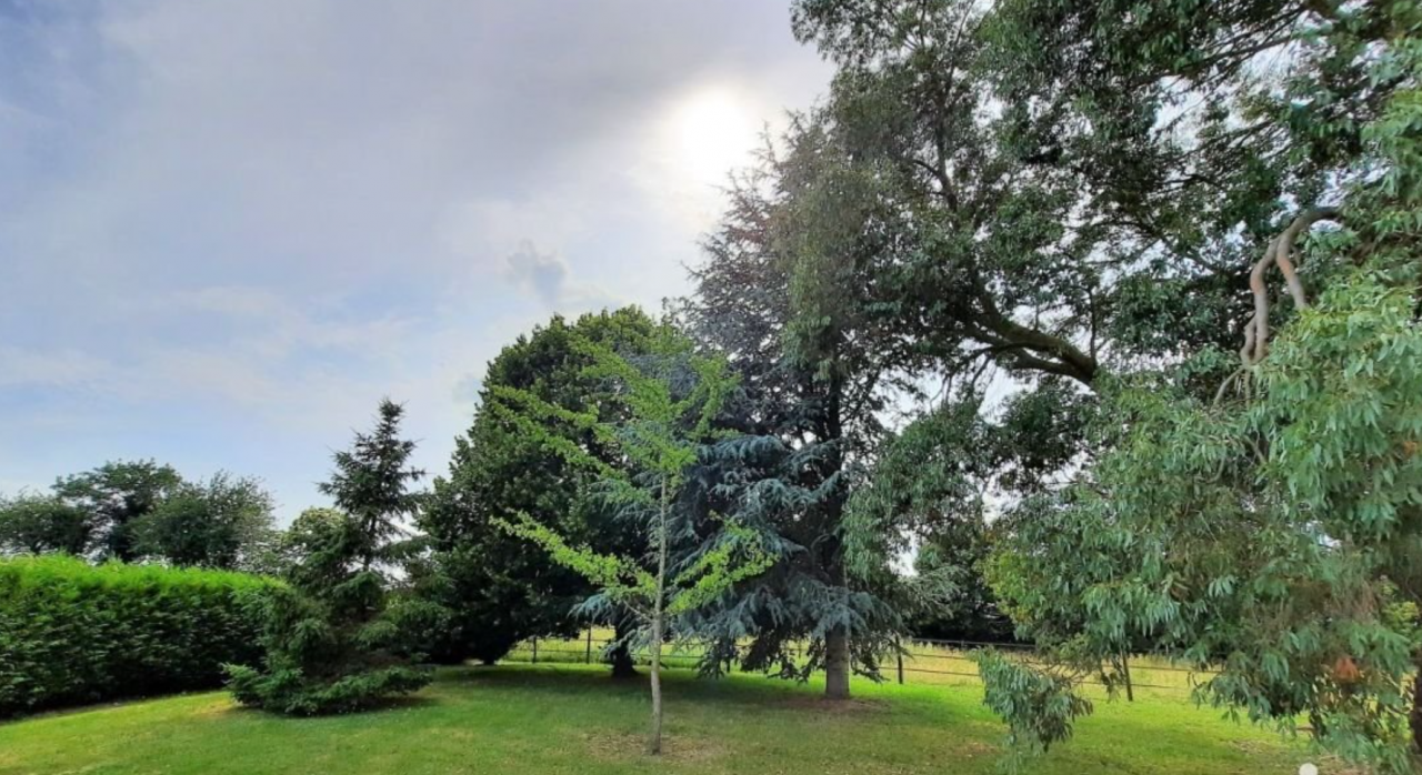 Hippisch vastgoed Koop Côte d'Armor