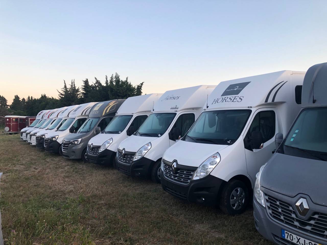 Kleine paardenvrachtwagen (B rijbewijs) Trans Box NEW SVELTO 2023 Tweedehands