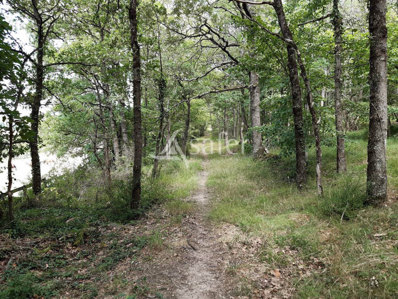Hippisch vastgoed Koop Vienne
