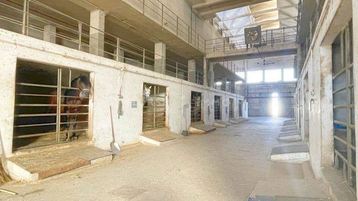 Hippisch vastgoed Koop Bouches-du-Rhône