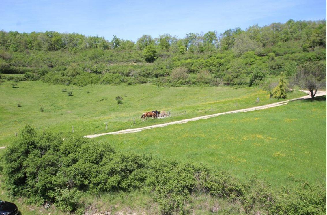 Hippisch vastgoed Koop Ariège