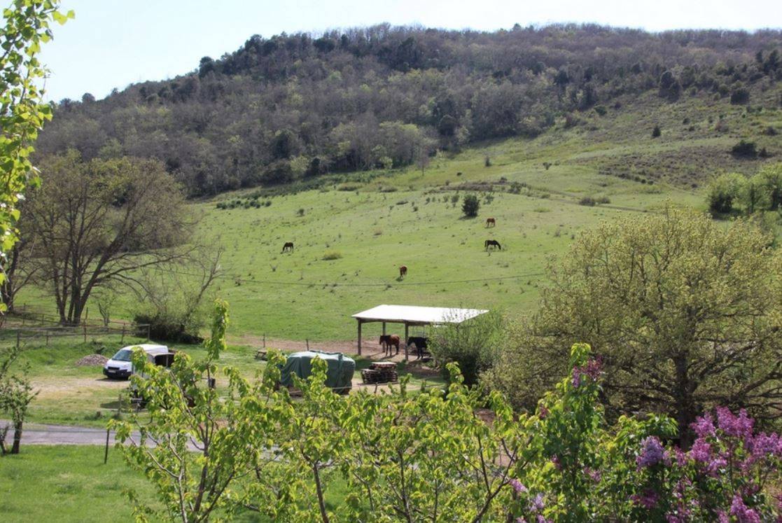 Paarden accommodatie Koop Aude