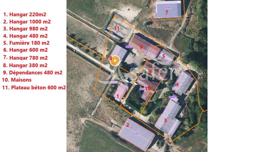 Schapen exploitatie Koop Landes