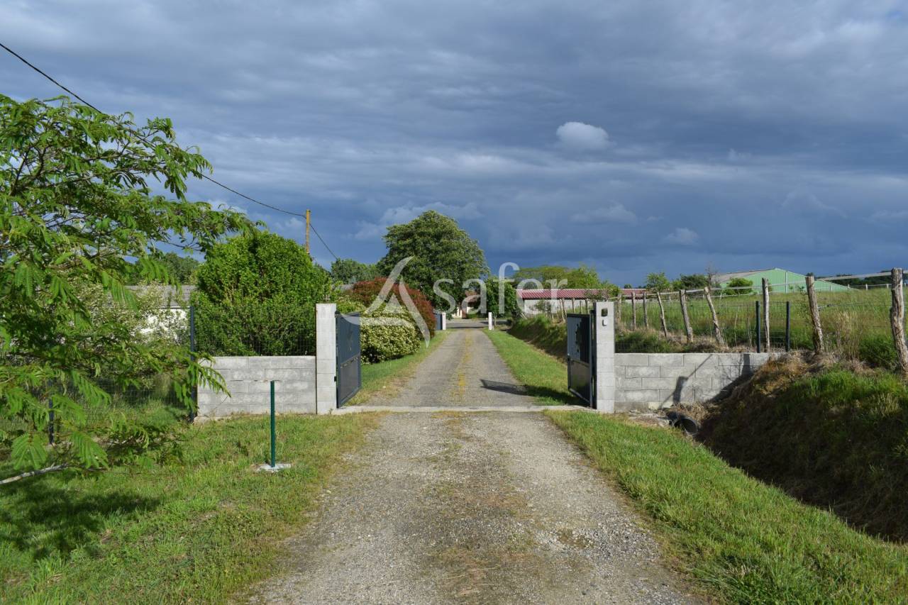 Schapen exploitatie Koop Landes