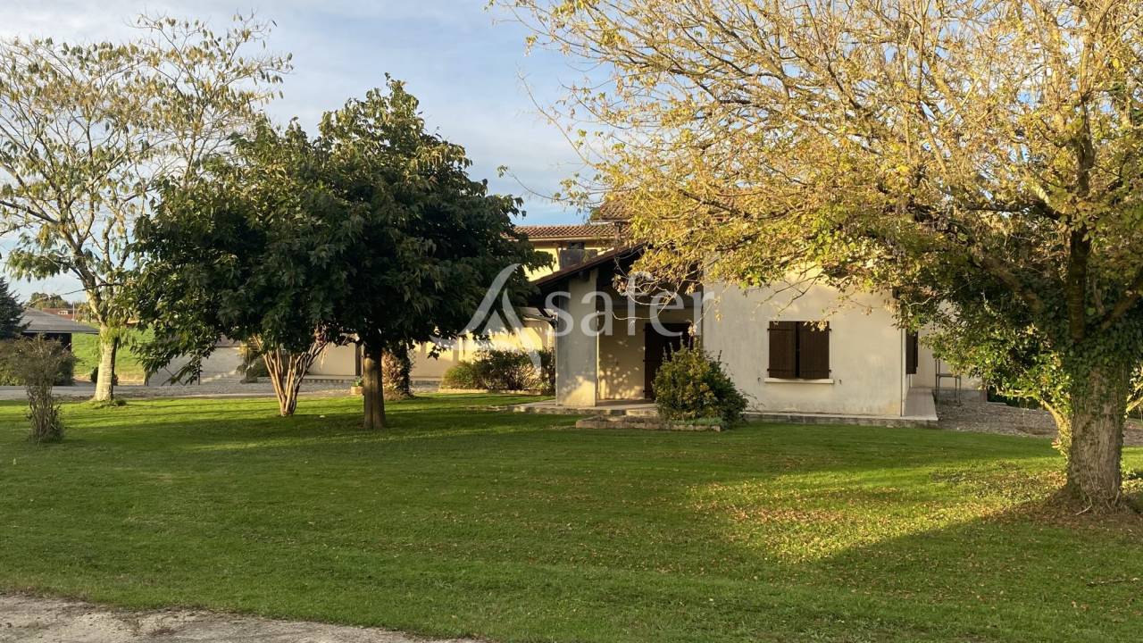 Schapen exploitatie Koop Landes