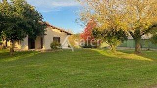 Schapen exploitatie Koop Landes