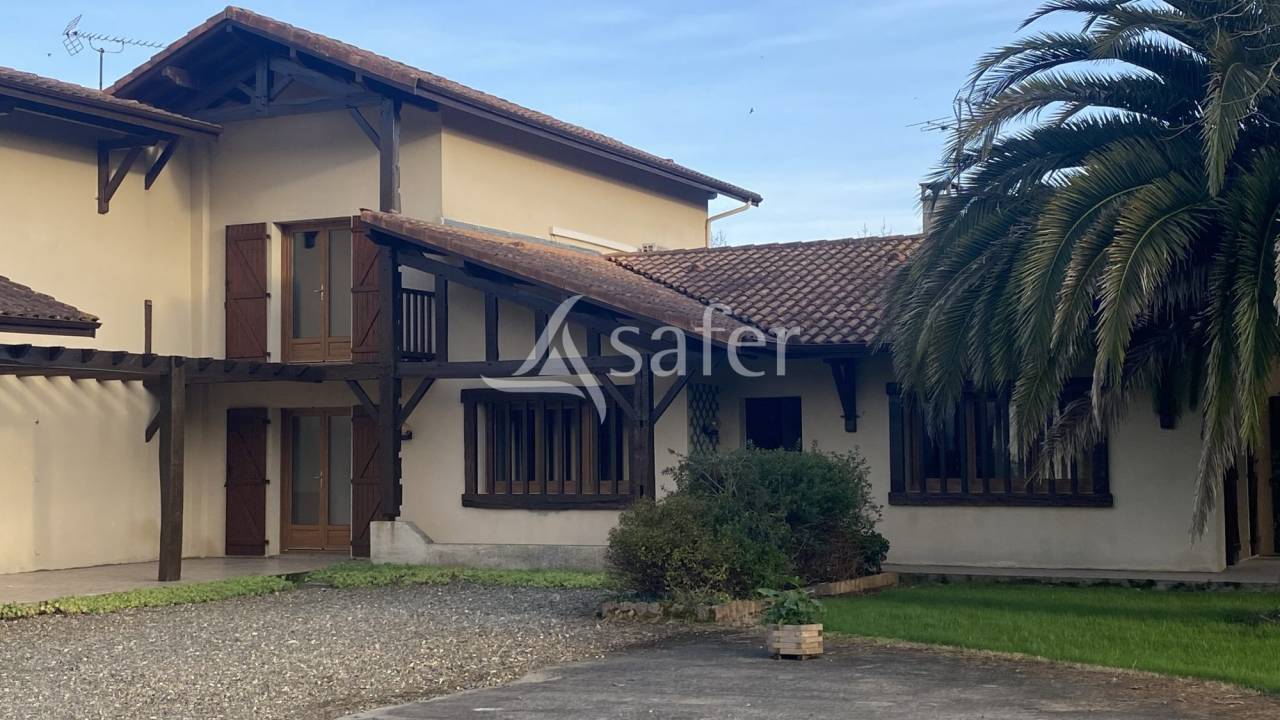 Schapen exploitatie Koop Landes