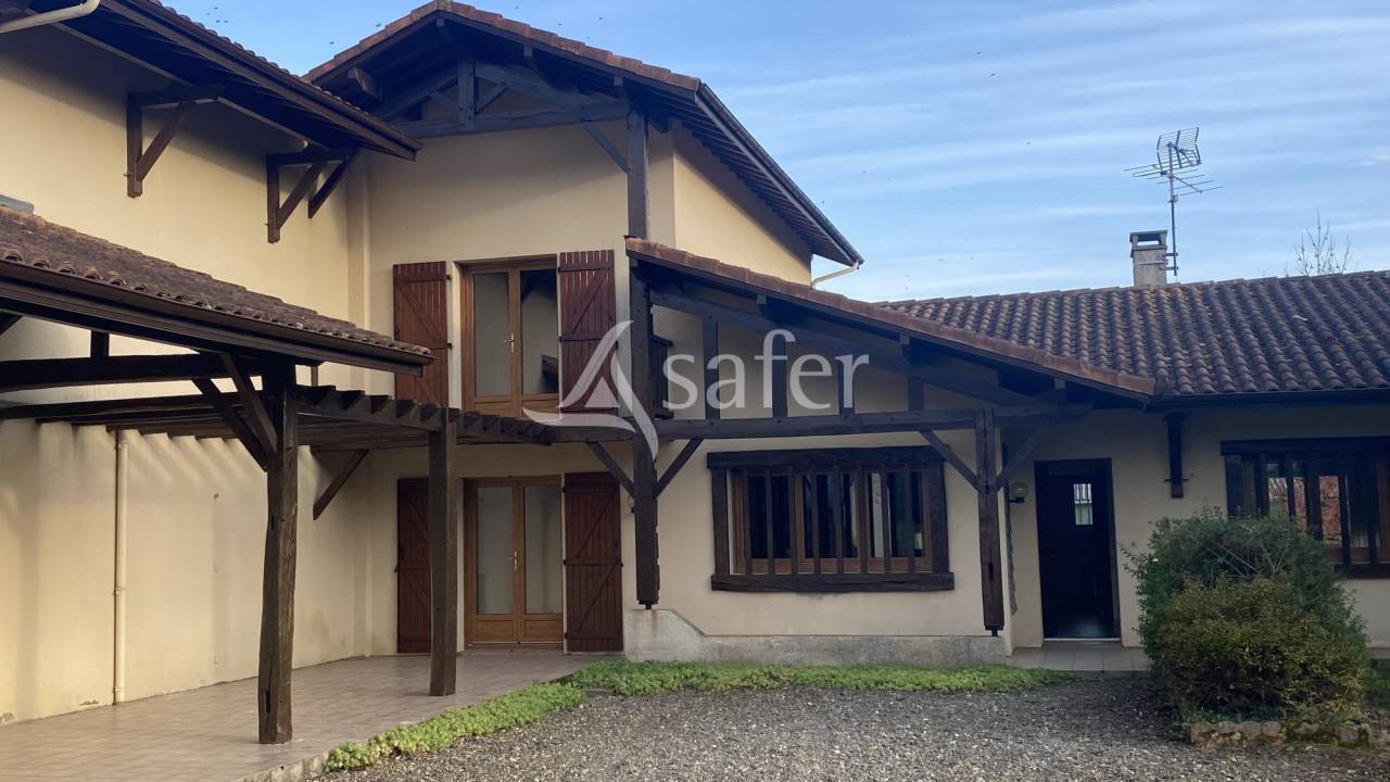 Schapen exploitatie Koop Landes