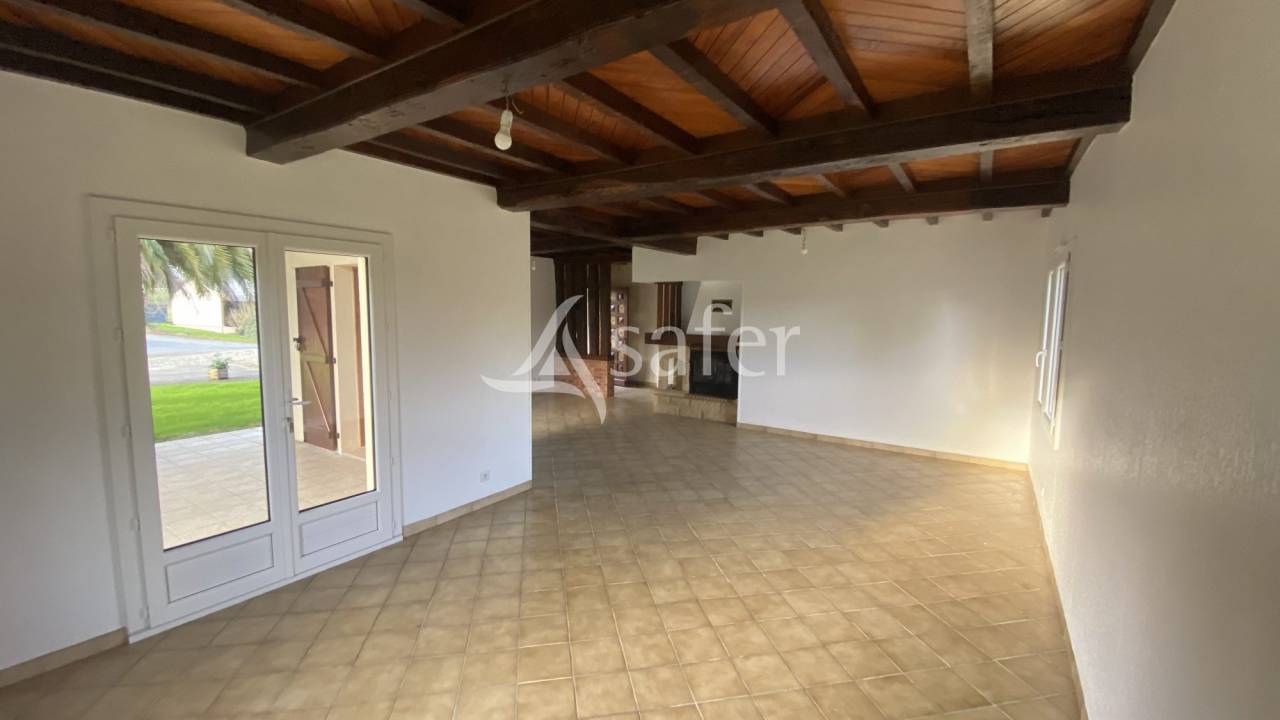 Schapen exploitatie Koop Landes