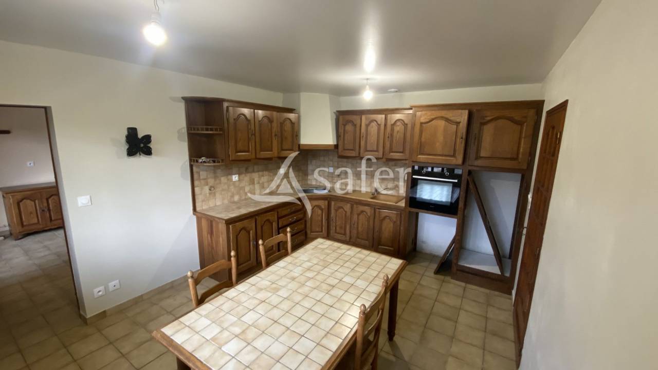 Schapen exploitatie Koop Landes