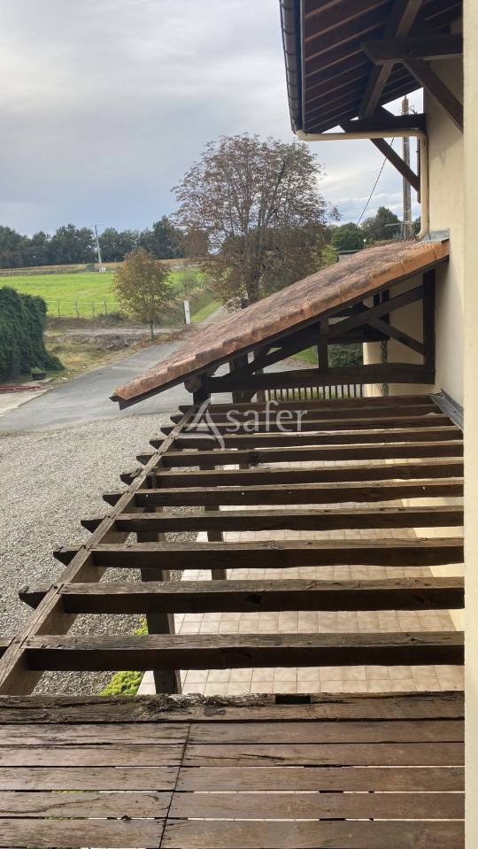 Schapen exploitatie Koop Landes