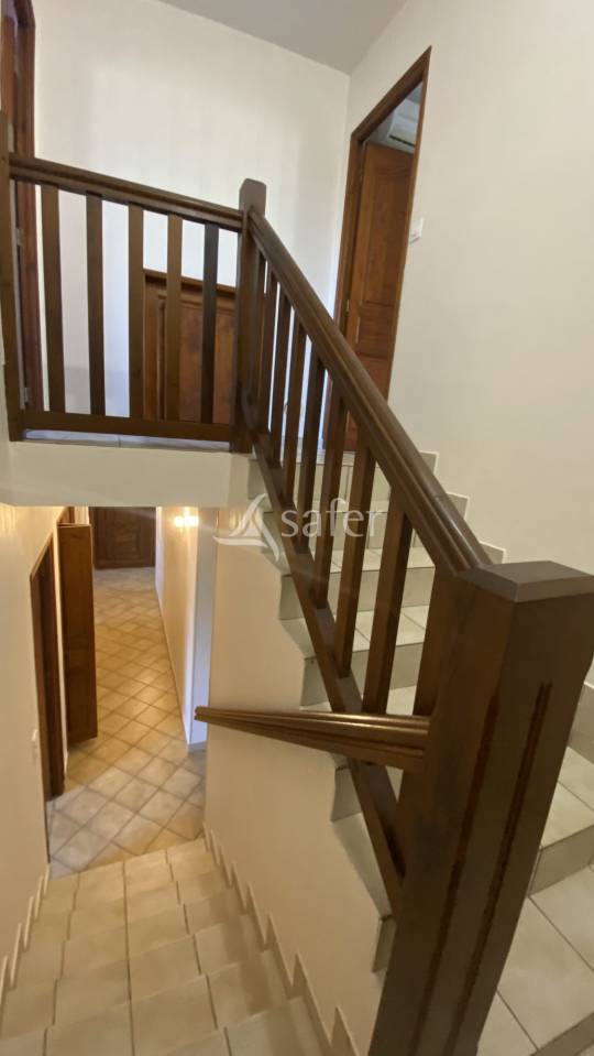 Schapen exploitatie Koop Landes