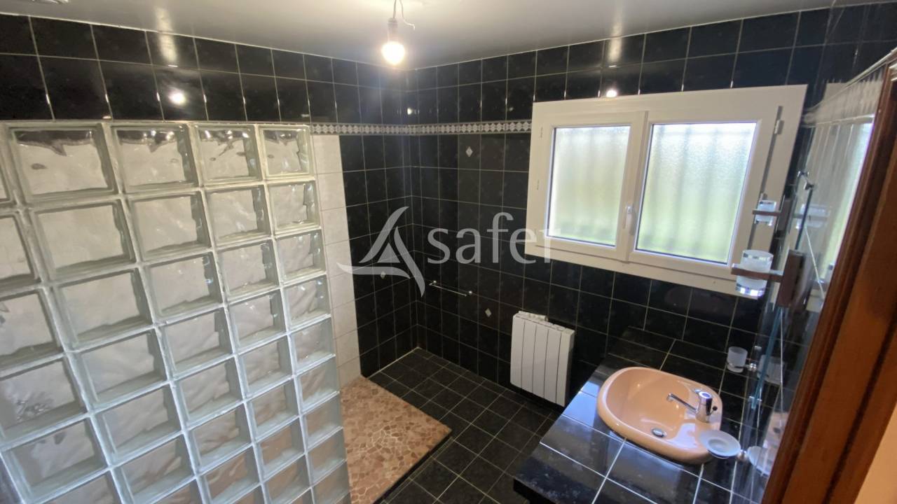 Schapen exploitatie Koop Landes