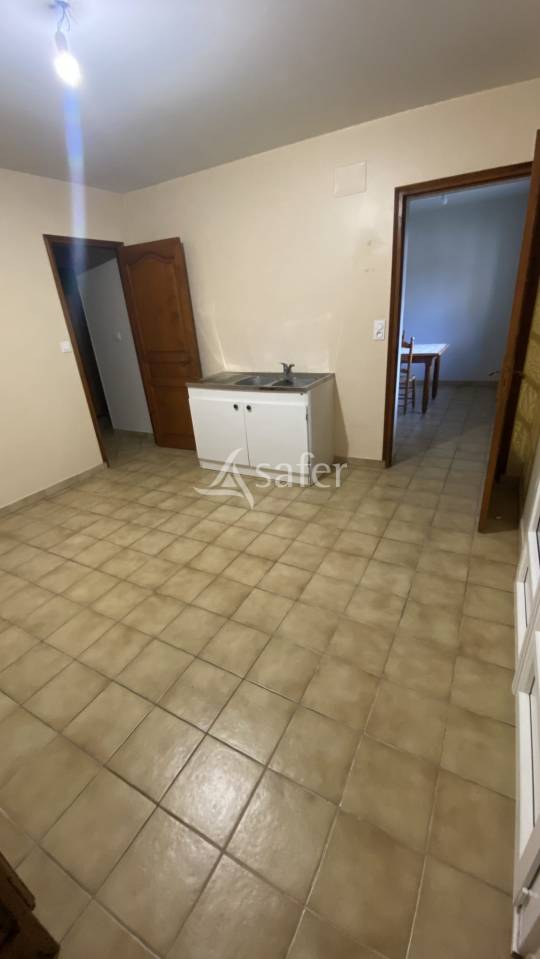 Schapen exploitatie Koop Landes