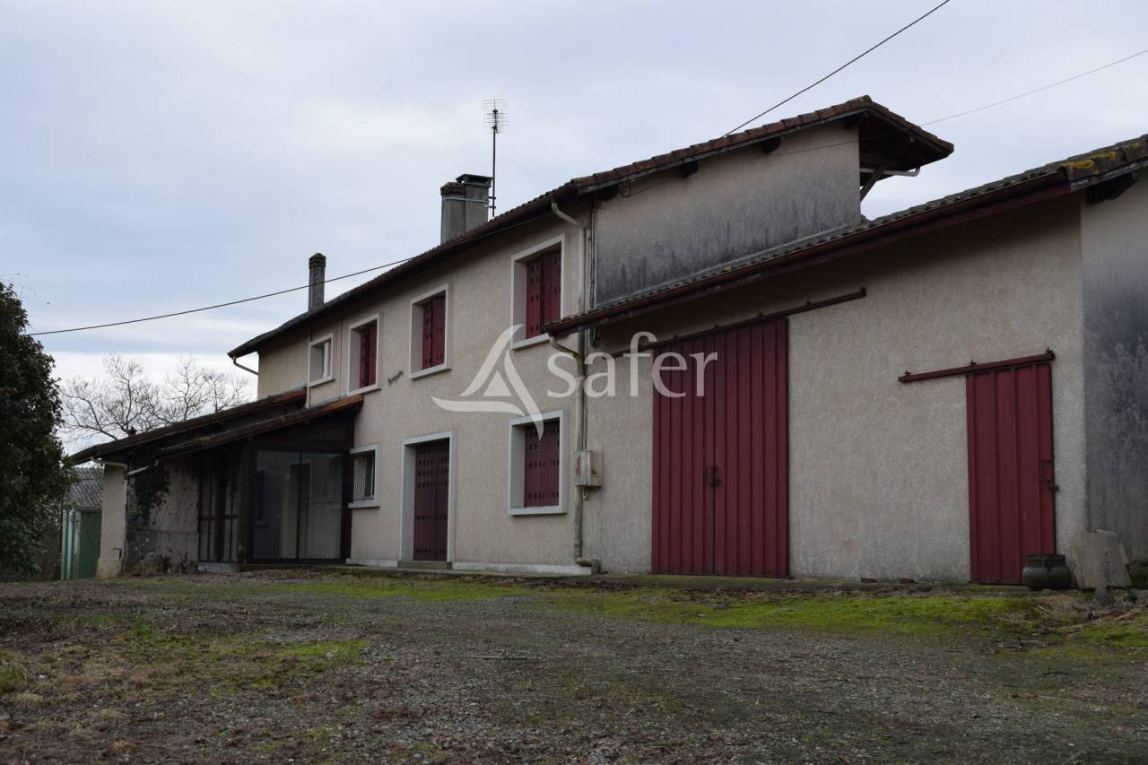 Schapen exploitatie Koop Landes