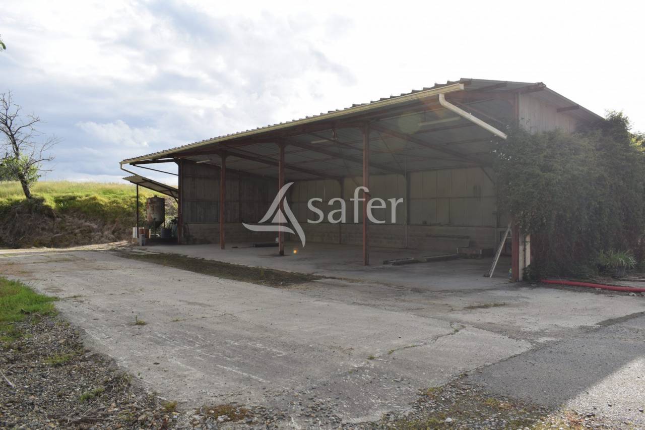 Schapen exploitatie Koop Landes