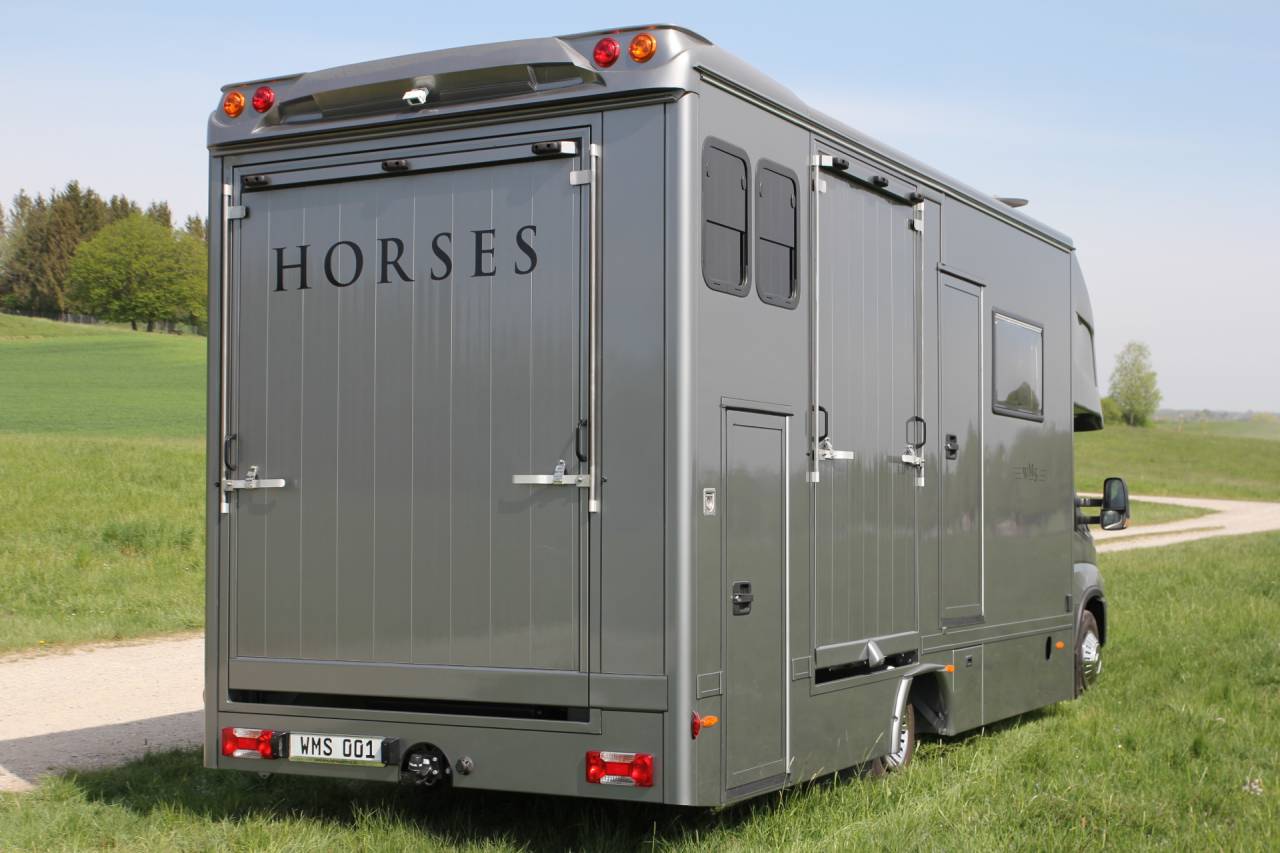 Zware paardenvrachtwagen (groot rijbewijs) Iveco IVECO 0 Nieuw