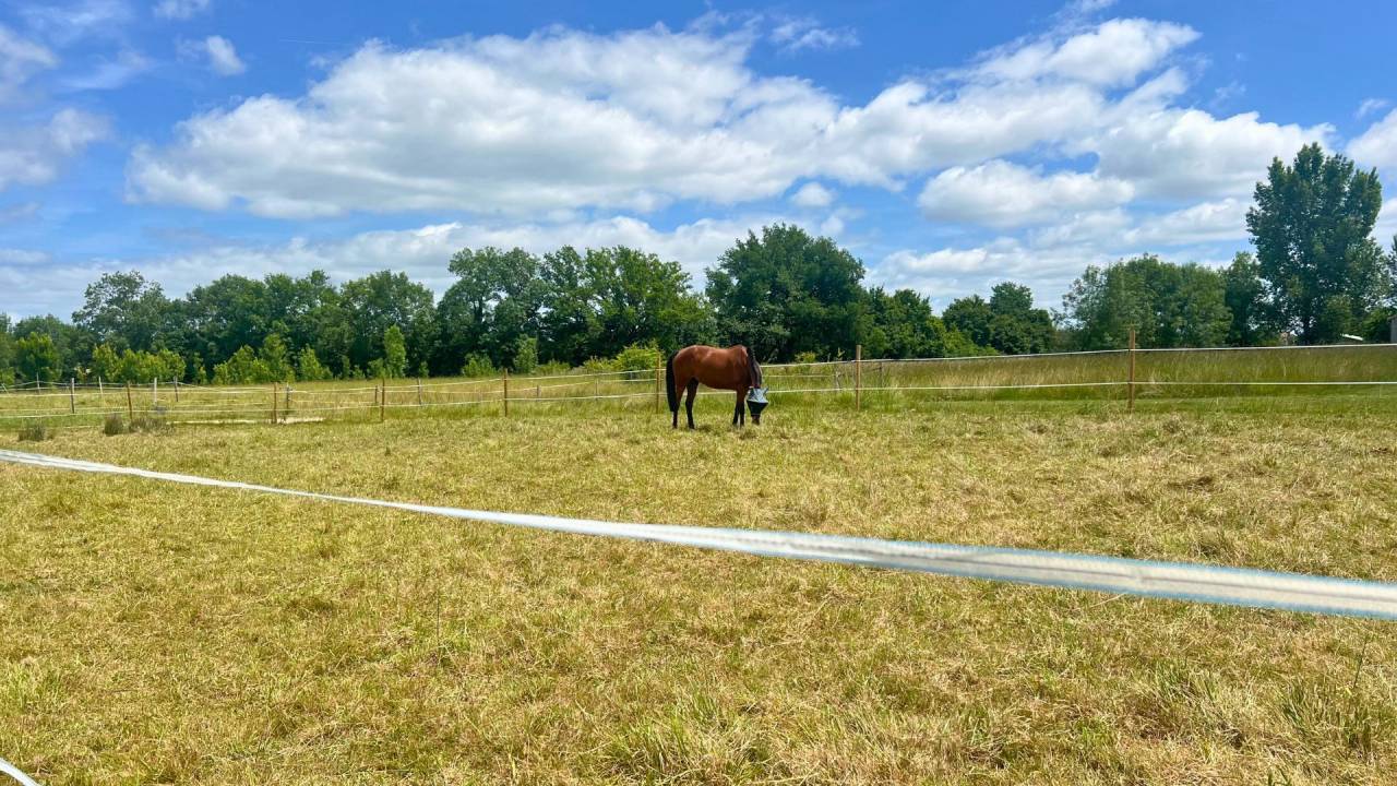 Ruiterclub Koop Lot-et-Garonne