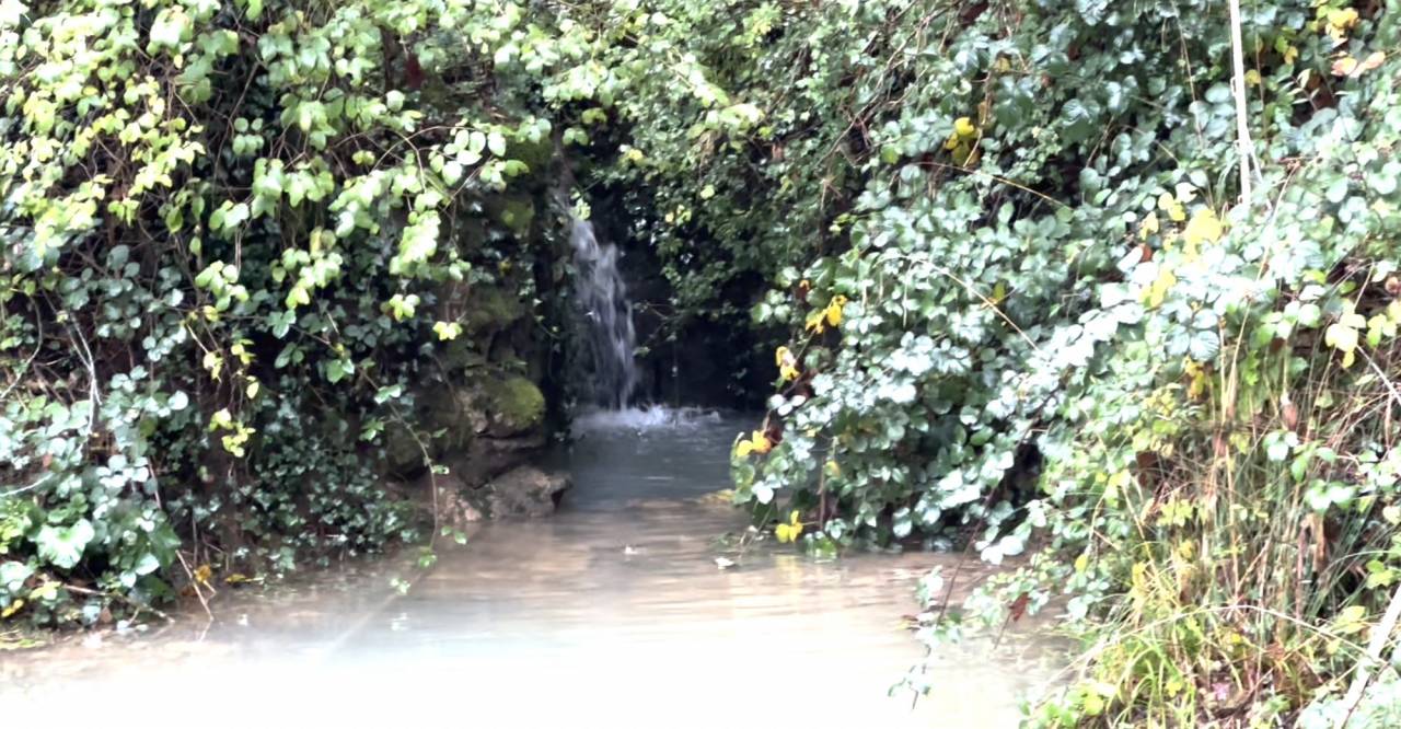 Hippisch vastgoed Koop Ain