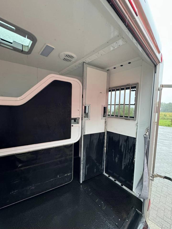 Zware paardenvrachtwagen (groot rijbewijs) STX trailer 2021 Tweedehands