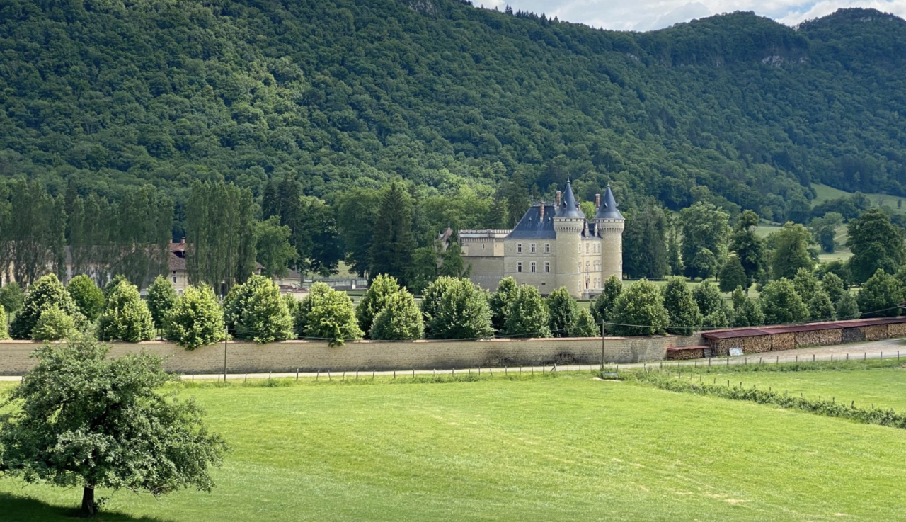 Mooi hippisch vastgoed Koop Jura