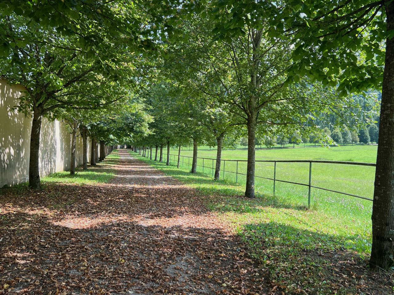 Mooi hippisch vastgoed Koop Jura
