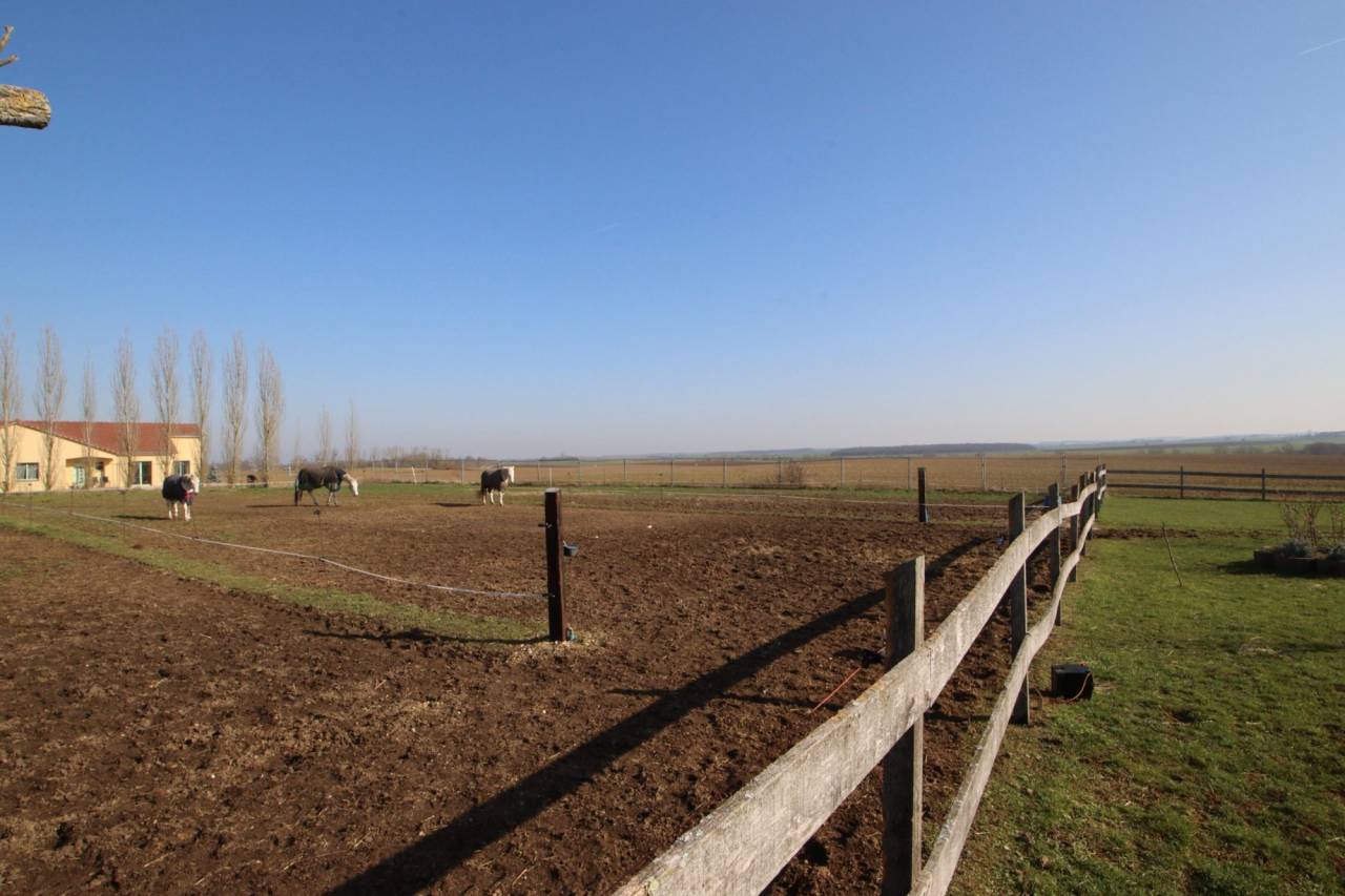 Hippisch vastgoed Koop Meurthe-et-Moselle