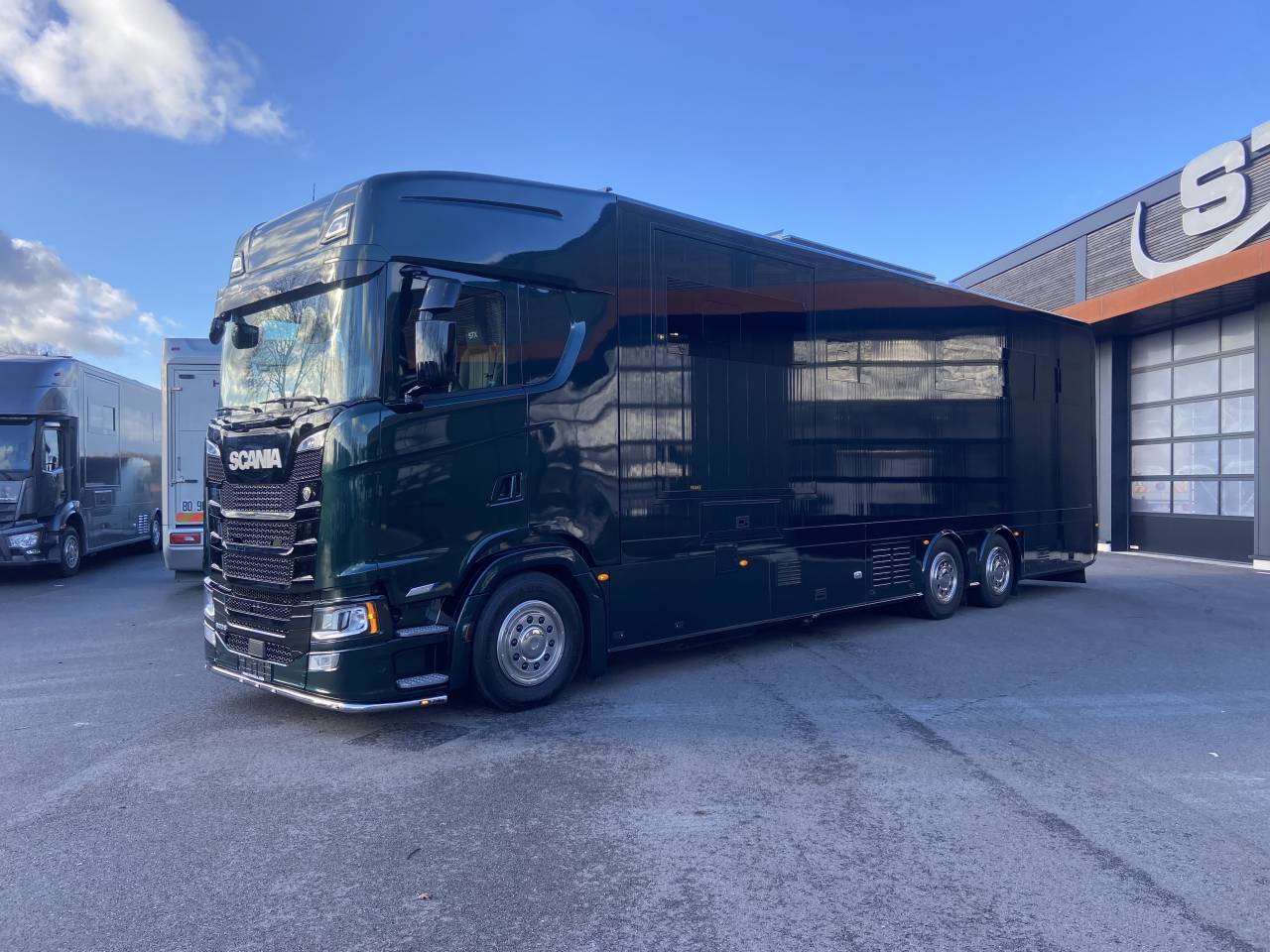 Zware paardenvrachtwagen (groot rijbewijs) STX  2025 Nieuw