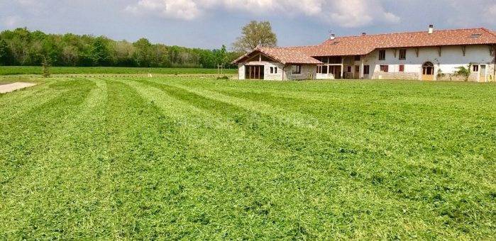 Hippisch vastgoed Koop Ain