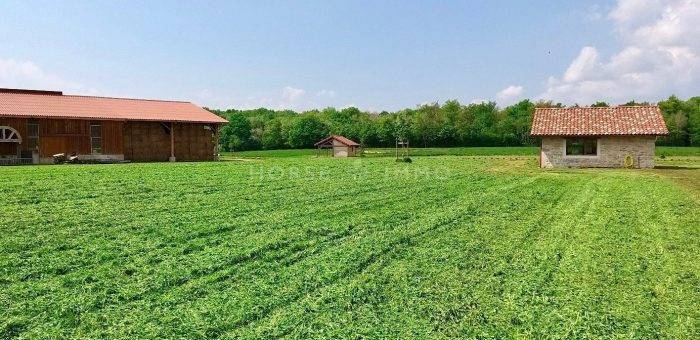 Hippisch vastgoed Koop Ain