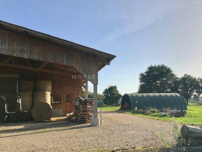 Hippisch vastgoed Koop Ain