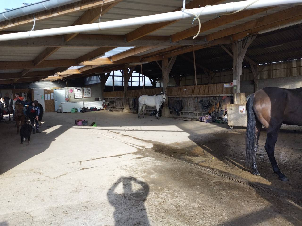 Hippisch vastgoed Koop Manche