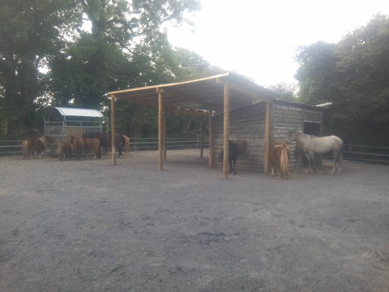 Hippisch vastgoed Koop Manche