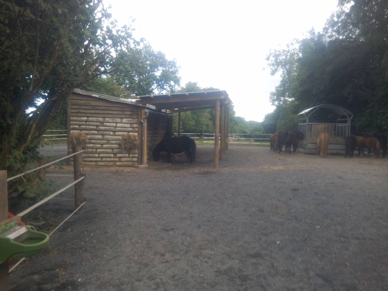 Hippisch vastgoed Koop Manche