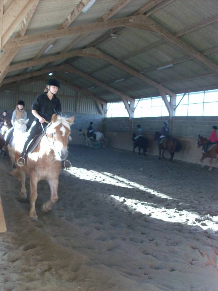 Hippisch vastgoed Koop Manche