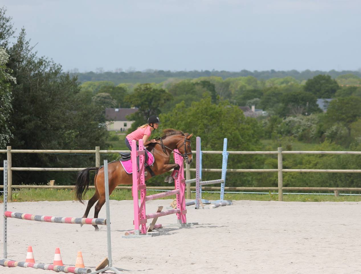 Hippisch vastgoed Koop Manche