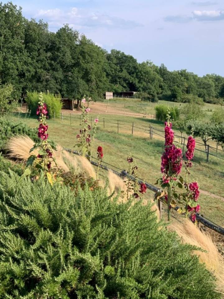 Mooi hippisch vastgoed Koop Lot