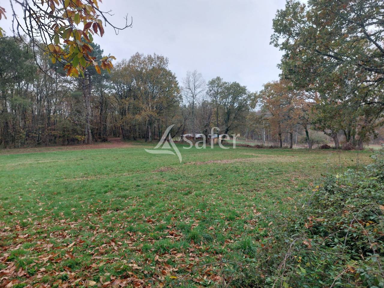 Groente exploitatie Koop Dordogne