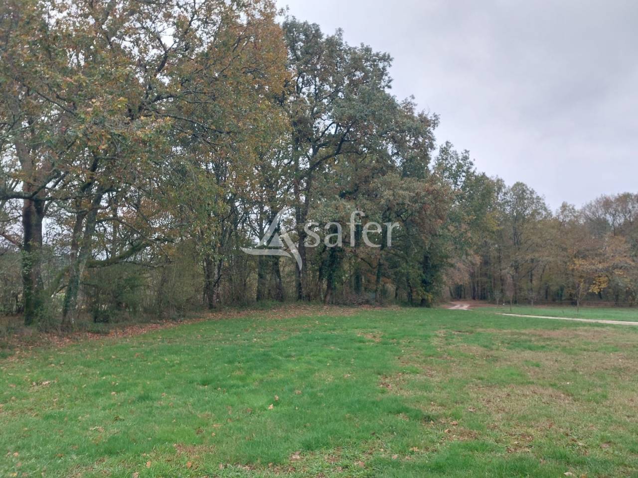 Groente exploitatie Koop Dordogne