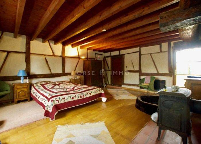 Hippisch vastgoed Koop Ain