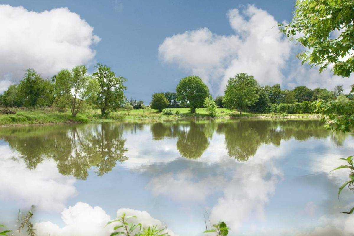 Hippisch vastgoed Koop Ain