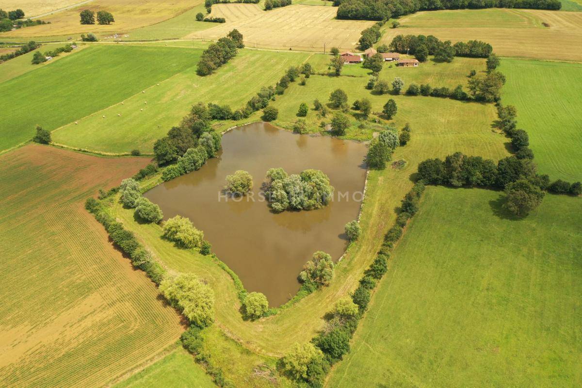 Hippisch vastgoed Koop Ain