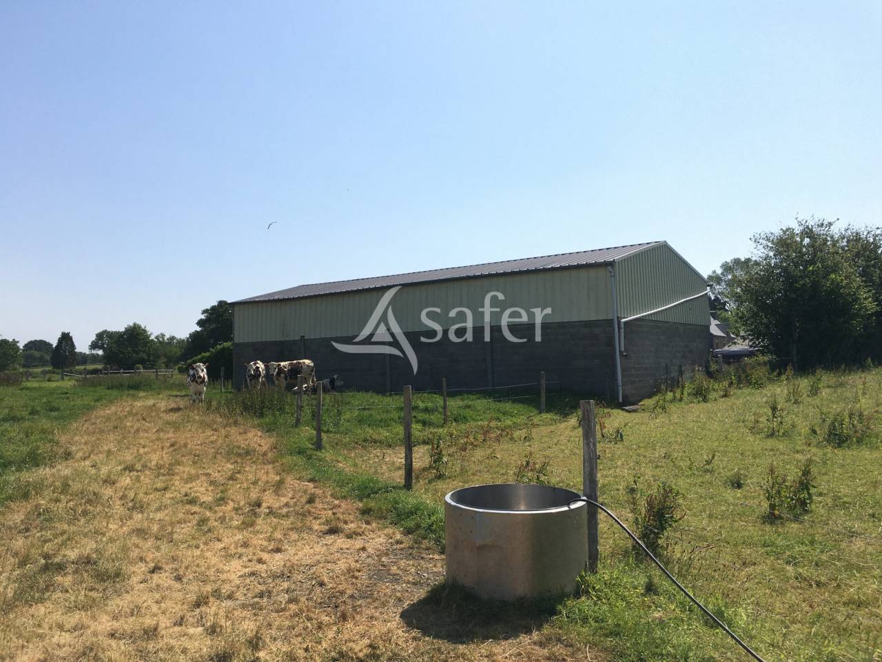 Hippisch vastgoed Koop Manche