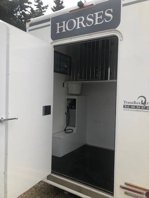 Kleine paardenvrachtwagen (B rijbewijs) Trans Box Svelto 3 2020 Tweedehands
