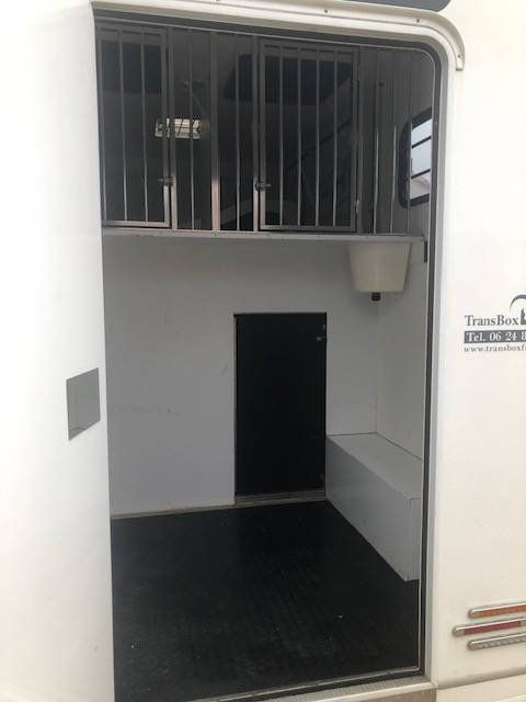 Kleine paardenvrachtwagen (B rijbewijs) Trans Box Svelto 3 2020 Tweedehands