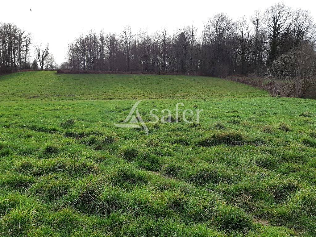 Landbouw bedrijf Koop Corrèze