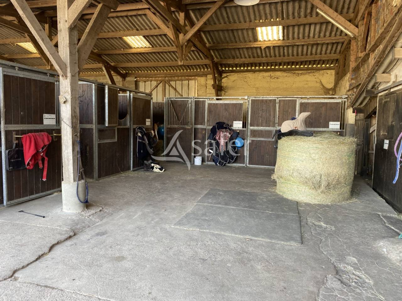 Hippisch vastgoed Koop Calvados